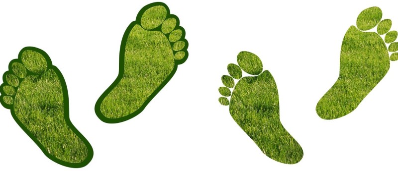 Konekcija sa prirodom: Hortikultura i zdravlje