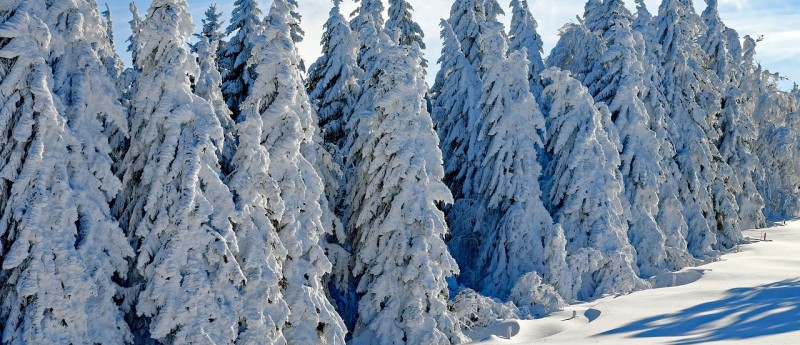 Zimovanje na Tari - sankanje, skijanje, kamini i komplet lepinje