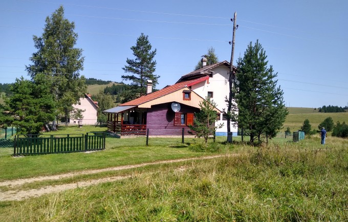 Woodpeckers house