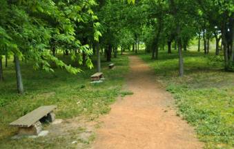 Kamp u Banatskom dvoru