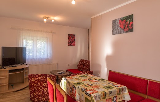 Vila Pasic-Apartman 2