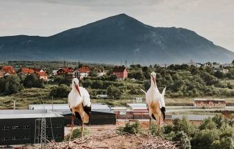 Rtanjska bajka