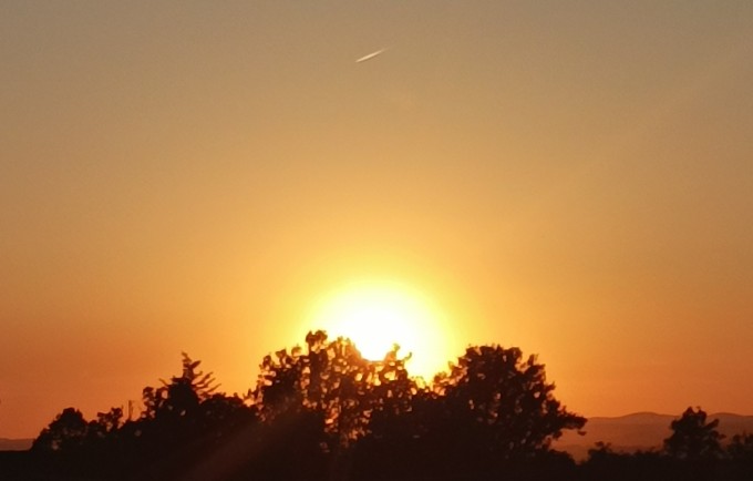 Apartmani Bor Struganik