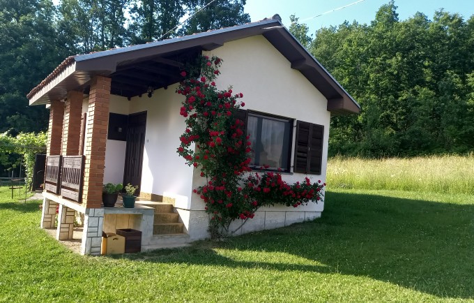 Šumska čarolija