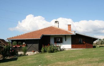 Tri hrasta
