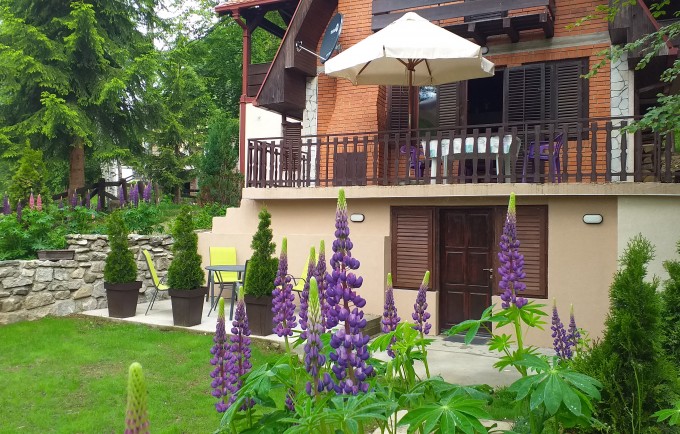 Apartmani Vlasinsko jezero