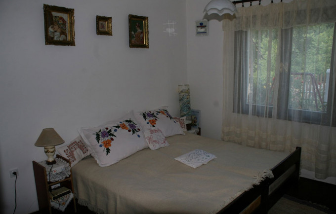 Seosko Domaćinstvo Bosa Damljanović