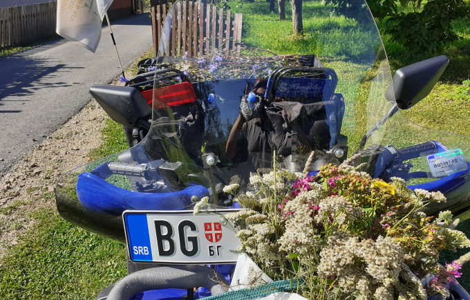 Zlatiborski wellness čaj od 17 lekovitih biljaka