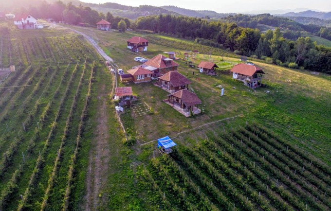 ŠEBOVINA