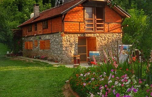 Vila Lapušnja