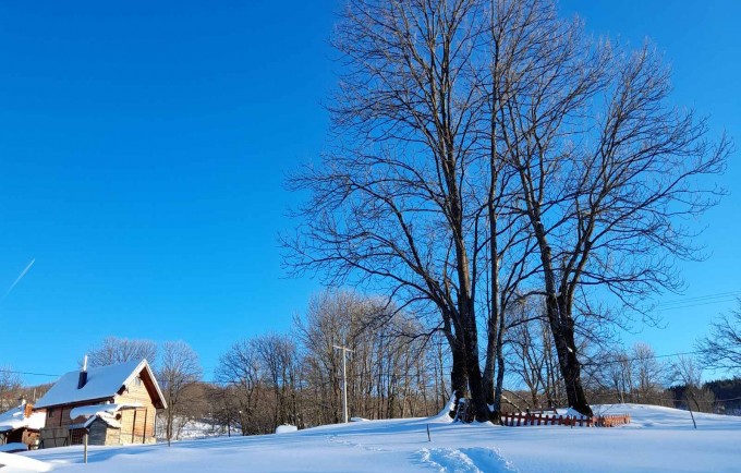 Stara kuća domaćinstvo Filipović