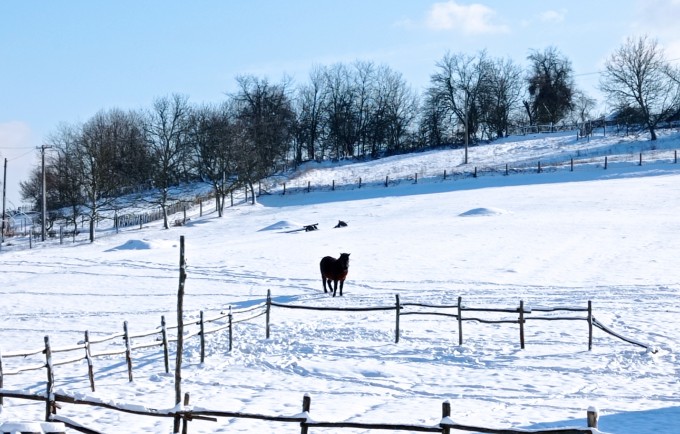 Šurička bajka - domaćinstvo Stefanović