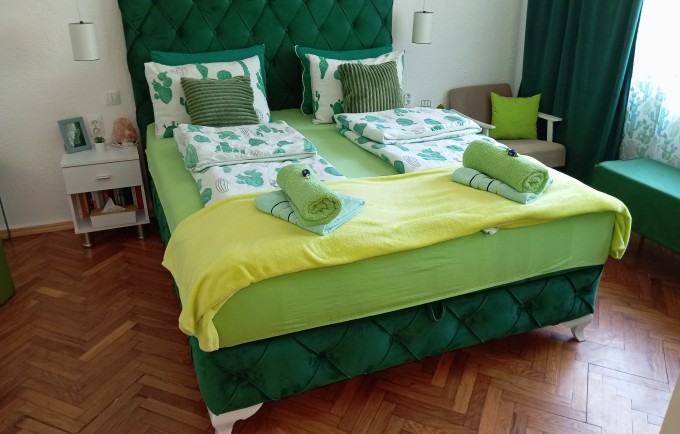 Green Cactus Rooms Apartman Senta