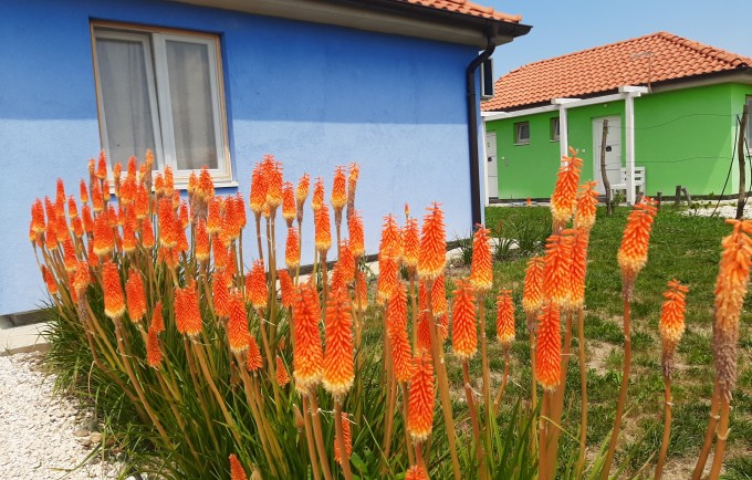 Apartmani Termlna Rivijera Bogatić