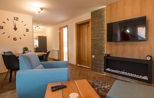 Vila Pasic Tara-Apartman 3