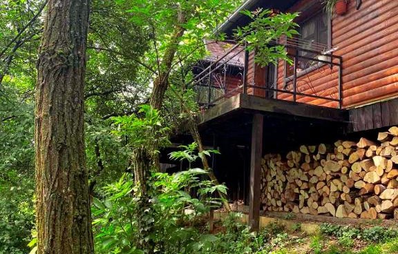 Ranč Platan - brvnara u Nacionalnom parku Fruška gora