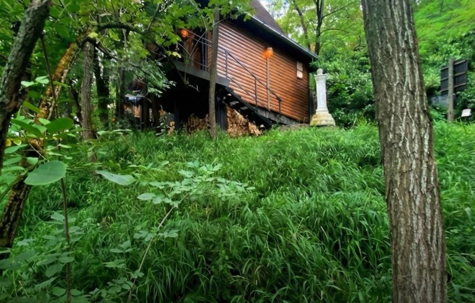 District Ranch Platan - Ius naturale, Fruska gora