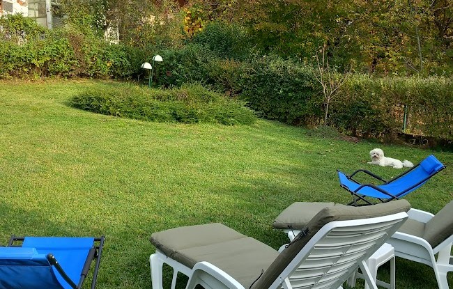 Apartman "Vorteks" Vrujci