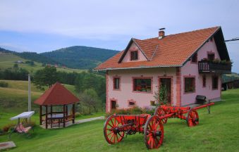 Domaćinstvo Spasenića