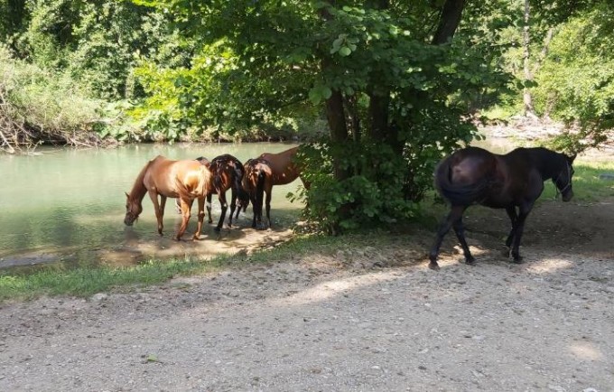 Apartmani Doksas Degurić