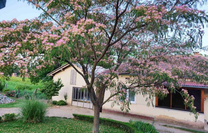 Apartman Kristina Ribare, Ribarska banja