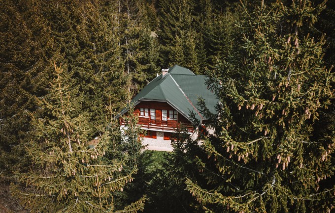 Forest Secret (National Park Tara)