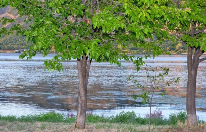 Seosko turističko domaćinstvo Idila