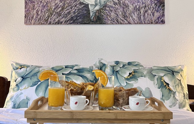 Lavender farm Zarić